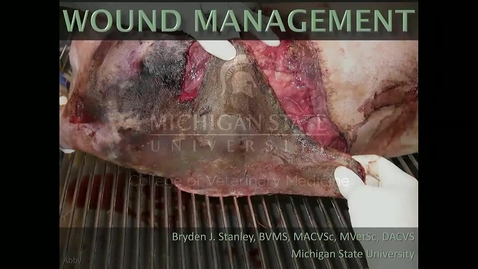 Thumbnail for entry VM 580-Wound Management Part 1-Stanley