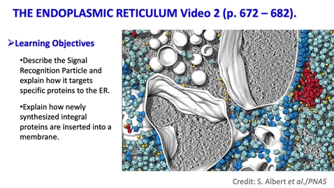 Thumbnail for entry 006 Endomembrane System Video 2
