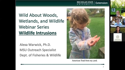 Thumbnail for entry Wild About Woods, Wetlands, &amp; Wildlife: Wildlife Intrusions