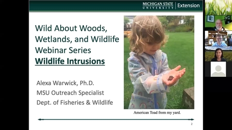 Thumbnail for Wild About Woods, Wetlands, &amp; Wildlife: Wildlife Intrusions