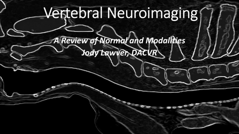 Thumbnail for entry VM 571-Vertebral Neuroimaging
