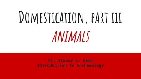 Thumbnail for entry Domestication Part III - Animals