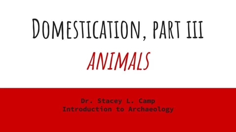Thumbnail for Domestication Part III - Animals