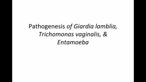 Thumbnail for entry Week-9-HM-881-GiardiaTrichomonas-Entameoba