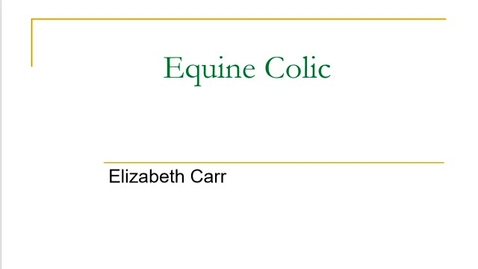 Thumbnail for entry Evaluation for Equine Colic