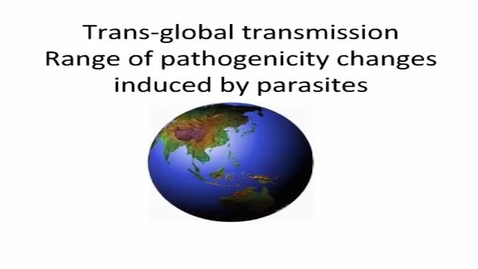 Thumbnail for HM863transglobaltransmission
