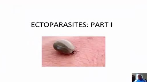 Thumbnail for entry HM863EctoparasitesPart1