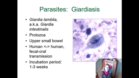 Thumbnail for entry IM618 - Diarrhea 3: Parasites and Inflammatory Diarrhea