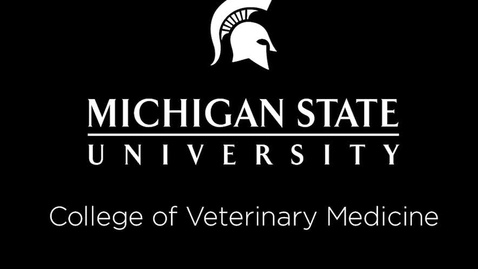 Thumbnail for VM 515-Natural Horse Behavior Lecture