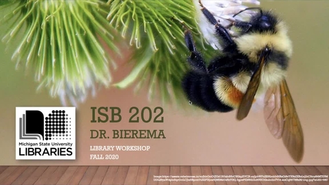 Thumbnail for entry ISB 202 - Library Presentation