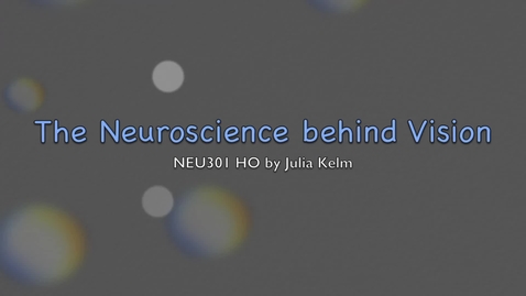 Thumbnail for entry The Neuroscience behind Vision