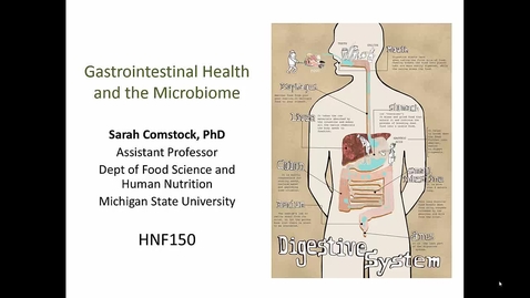 Thumbnail for entry Mini Lecture 2.3 - GI Health