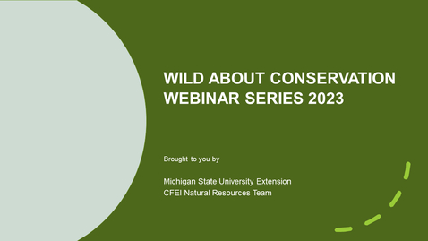 Thumbnail for Bumble Bee Conservation In Michigan Requires a Community Approach