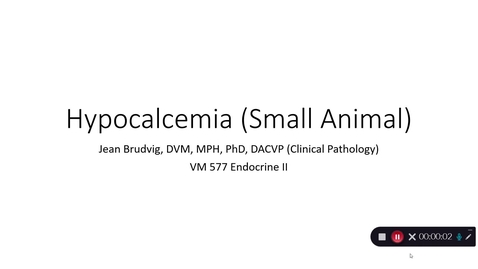Thumbnail for entry VM 577-Hypocalcemia