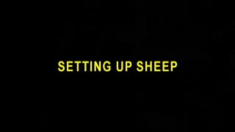 Thumbnail for entry Setting Up Sheep