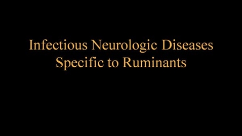 Thumbnail for entry VM_555_12072011_Infectious_Neuro_Ruminan-Carr
