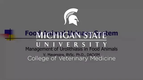Thumbnail for entry VM 568-Urolithiasis in Food Animals
