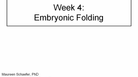 Thumbnail for entry ANTR510 (004) Early Embryology Week 4: Embryonic Folding