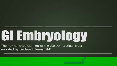 Thumbnail for entry ANTR510 (016)The Development of the Gastrointestinal Tract
