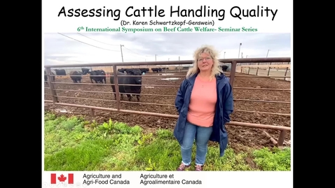 Thumbnail for Part 3: Handling in Beef Cattle Welfare, Dr. Schwartzkopf-Genswein