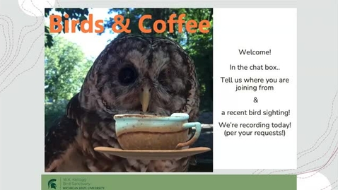 Thumbnail for entry Birds and Coffee ( Birding hotspots w/ ASK)