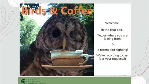 Thumbnail for Birds and Coffee ( Birding hotspots w/ ASK)