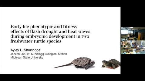 Thumbnail for Ayley Shortridge Defense Seminar - Early-life phenotypic and fitness effects of flash drought and heat waves during embryonic development in two freshwater turtle species
