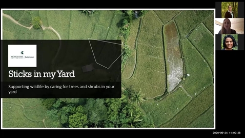 Thumbnail for Wild About Backyard Conservation: Sticks in My Yard