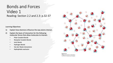 Thumbnail for 001 Video 1 Bonds and Forces