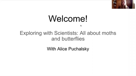 Thumbnail for Alice_EWS_MothsAndButterlies