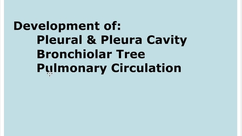 Thumbnail for entry 7-3 Pleural Cavity Alveoli Pulmonary Circulation Development