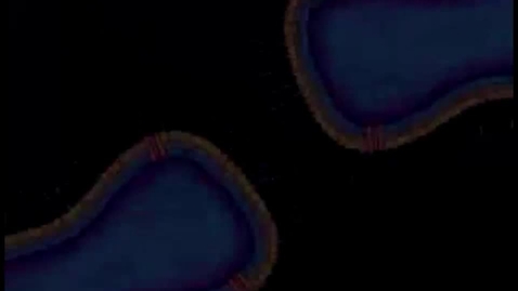 Thumbnail for HM831 Mod8Antibiotic