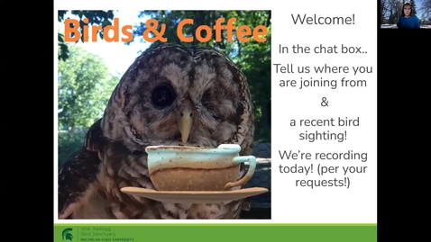 Thumbnail for Birds and Coffee - Birding and Mindfulness