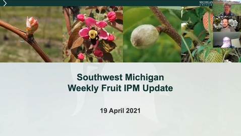 Thumbnail for MSU SW Michigan Fruit IPM Update April 19, 2021
