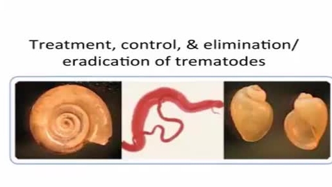 Thumbnail for entry HM887Trematodes