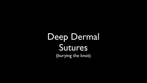 Thumbnail for Deep Stitch Suture