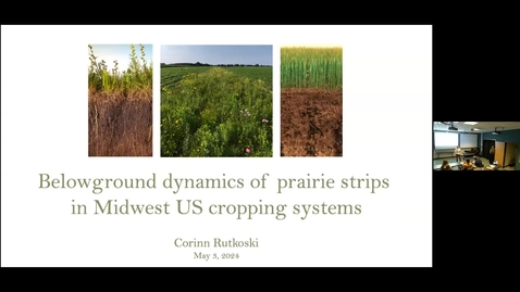 Thumbnail for Corinn Rutkoski Defense Seminar - Belowground dynamics of prairie strips in Midwest US cropping systems