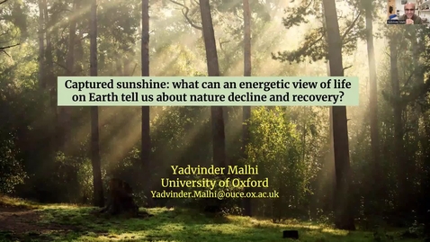 Thumbnail for 2024 Rachel Carson Distinguished Lecture by Yadvinder Malhi