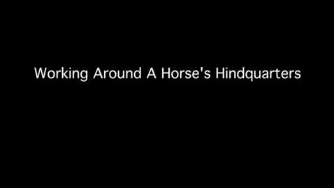 Thumbnail for VM 515-Working Around the Hindquarters of a Horse