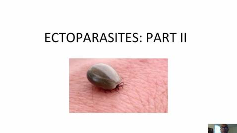 Thumbnail for entry HM-863-Module-Five-Lecture-Ectoparasites-Part-II