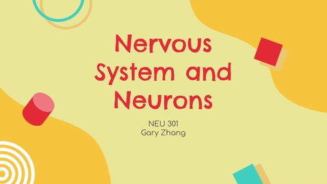 Thumbnail for entry Nervous System and Neurons