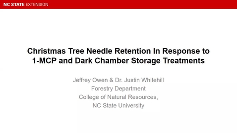 Thumbnail for entry 2022 CTRE: Christmas tree needle retention in response to 1-MCP and dark chamber storage treatments