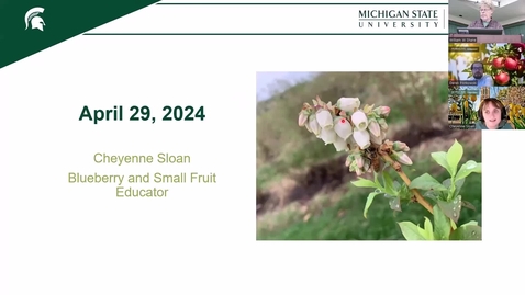 Thumbnail for South Michigan MSUE Fruit IPM Update April 29 2024