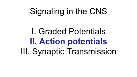Thumbnail for entry VM 517-Nphys video action potentials