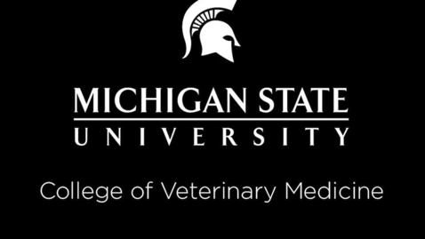 Thumbnail for VM 515-Animal Handling and Behavior