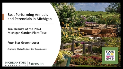 Thumbnail for Best Performing Plants at the 2024 Four Star Display Garden: Michigan Garden Plant Tour