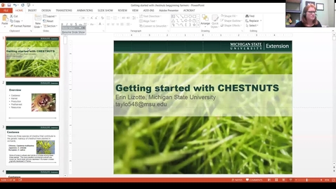 Thumbnail for Getting started with edible chestnut production