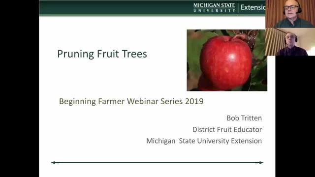 Pruning Fruit Trees Msu Extension