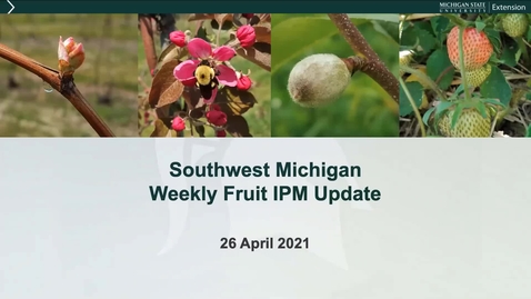 Thumbnail for SW Michigan  MSUE Fruit IPM Update April 26, 2021