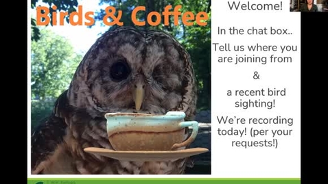 Thumbnail for Birds and Coffee Chat: Waterbirds